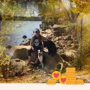 Meet your Posher, Dawn